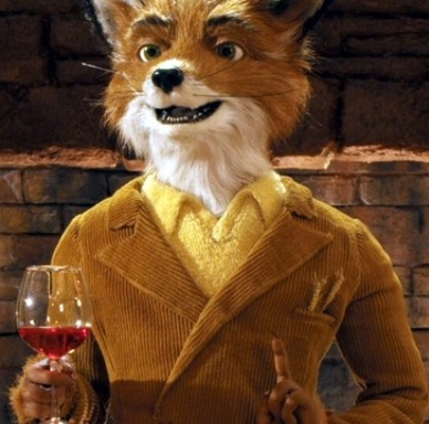 Misterfox