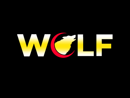 wolf_team10