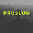 Pruslug