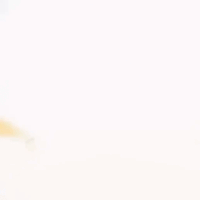 IMG-2857.gif