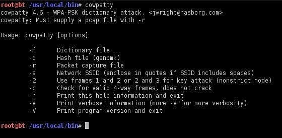 Cowpatty-1.jpg