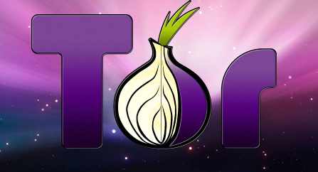 tor-browser-bundle-logo.jpg