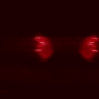 IMG-3055.gif